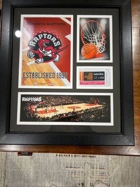 Fanatics Toronto Raptors Framed Red Black Sports Wall Art